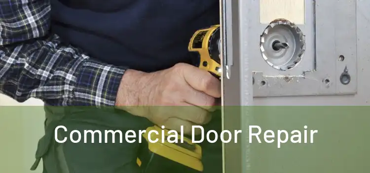 Commercial Door Repair