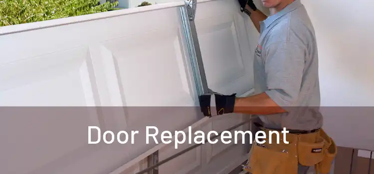  Door Replacement 